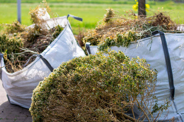 Best Moving and Downsizing Cleanouts  in English Creek, NJ